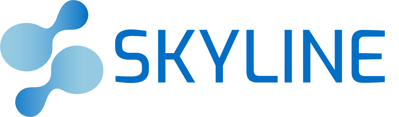Skyline IT